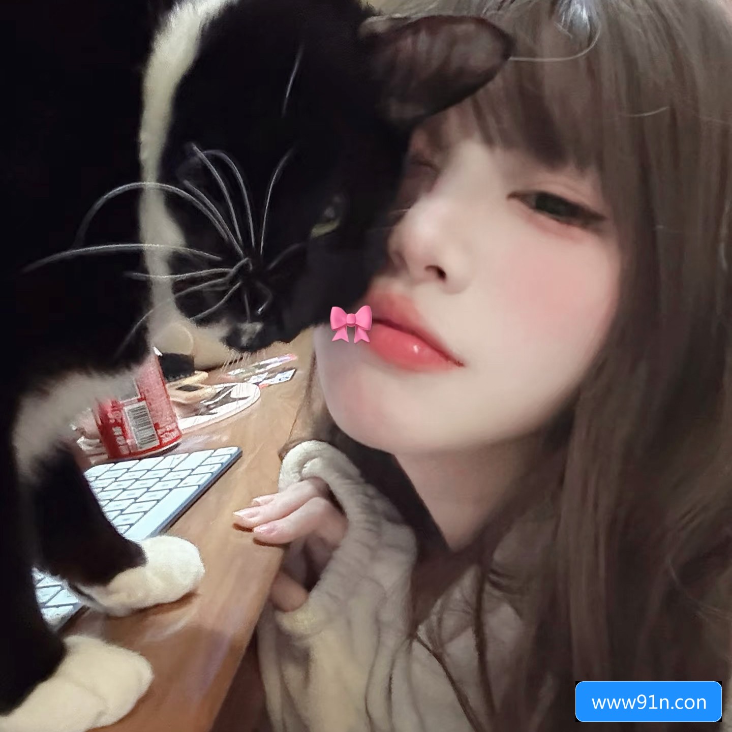 关于www91n.conm网站的安全性和使用注意事项，你了解多少？